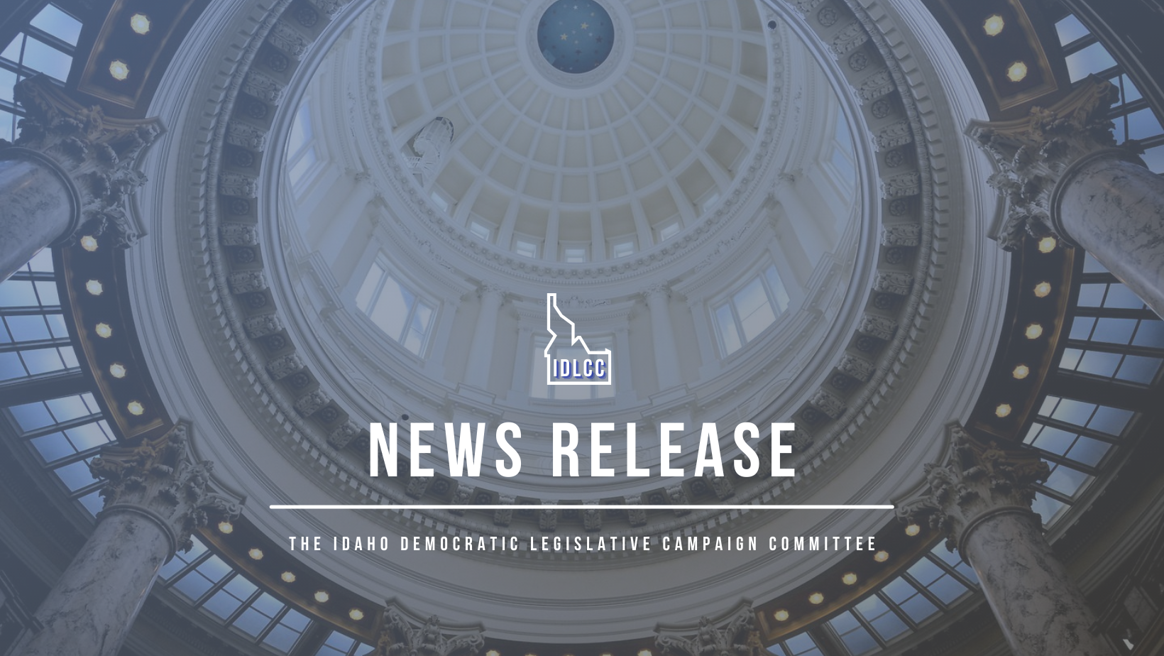 Democratic Lawmakers Applaud Idaho Supreme Court’s Decision to Block Implementation of SB 1110